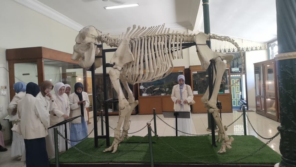Tim dosen raih hibah riset nasional bidang kecerdasan buatan
